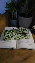 Load image into Gallery viewer, Succulent Glasses pouch
