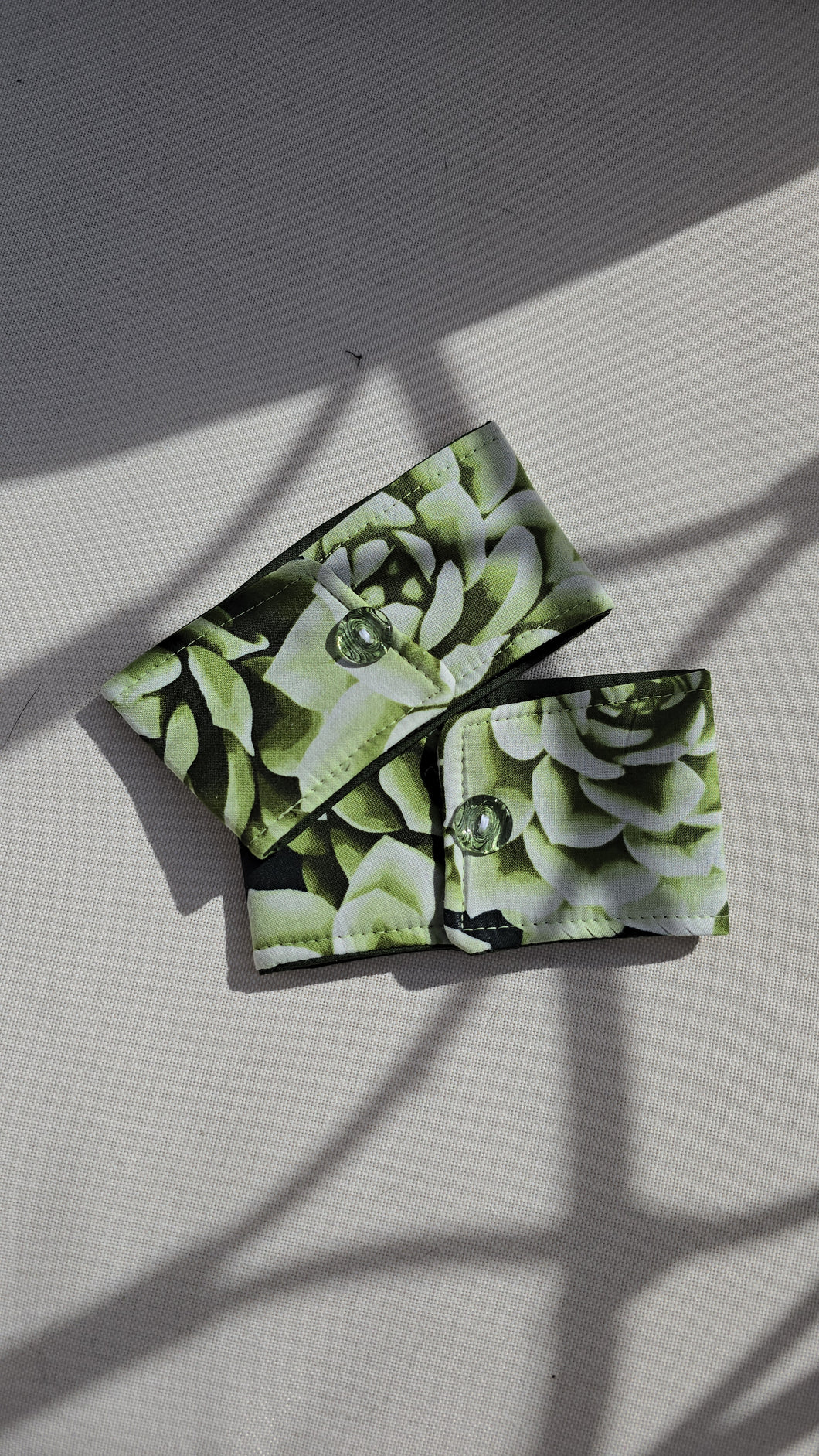Succulent Drink cozies